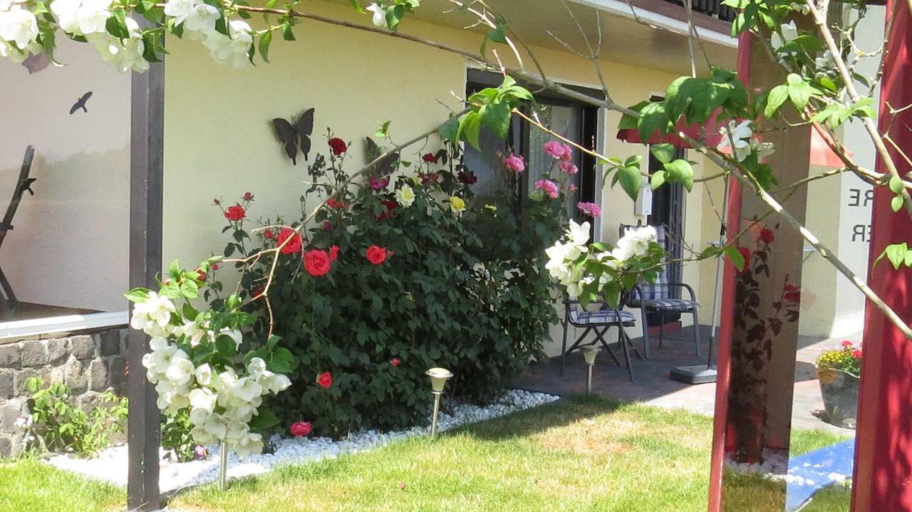 Ferienwohnung Panoramablick シュライデン エクステリア 写真